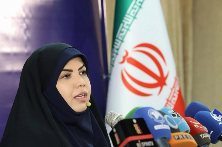 پژوهشگر بازاریاب یا مدیرعامل نیست/ تاخیر در پروژههای تحقیقاتی به دلیل کمبود بودجه