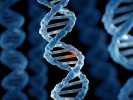 استفاده از تکنیک نسل جدید تعیین توالی (NGS) برای پیشگیری از معلولیت‌های ژنتیکی