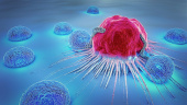 معرفی یک مهارکننده تومور روده بزرگ