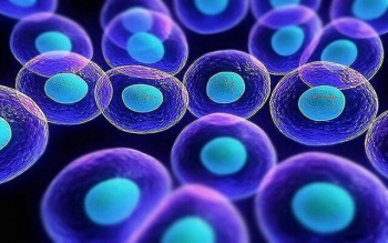 مقایسه مدل شبکه متابولیک میان سلول‌های پرتوان خام و مقدماتی
