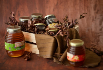 با همکاری پارک علم و فناوری البرز و صنعت زنبورداری صورت می گیرد ؛توسعه نوآوری و تجاری سازی ایده ها برای جلوگیری از خام فروشی عسل در کشور
