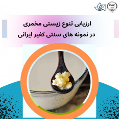 ارزیابی تنوع زیستی مخمری در نمونه های سنتی کفیر ایرانی