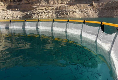 تولید تور و پرورش ماهی در قفس