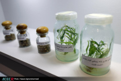 نمایشگاه گزیده‌ای از دستاوردهای شاخص علمی و فناورانه جهاددانشگاهی در سازمان برنامه و بودجه کشور- روز دوم