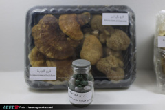 نمایشگاه گزیده‌ای از دستاوردهای شاخص علمی و فناورانه جهاددانشگاهی در سازمان برنامه و بودجه کشور- روز سوم