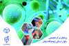 برنامه حضور پزشکان مرکز سلول‌درمانی پژوهشگاه رویان جهاددانشگاهی اعلام شد