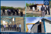 بازدید معاون هماهنگی و امور مجلس جهاد دانشگاهی از پروژه تولید آفت کش های گیاهی در گچساران