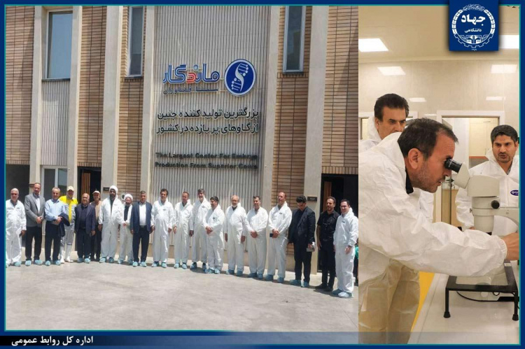 ایران در مسیر بومی‌سازی فناوری تولید جنین دام؛ مشارکت جهاددانشگاهی و نهادهای ملی در توسعه پایدار دامپروری