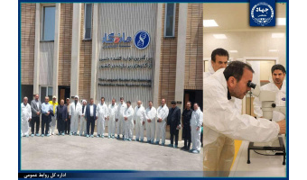 ایران در مسیر بومی‌سازی فناوری تولید جنین دام؛ مشارکت جهاددانشگاهی و نهادهای ملی در توسعه پایدار دامپروری