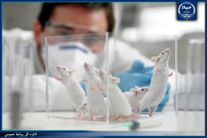اعتباربخشی «مراکز پرورش، نگهداری و/ یا استفاده از حیوانات در امور علمی» در جهاددانشگاهی