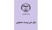 راه‌اندازی وب‌سایت رسمی مرکز ملی زیست‌مصنوعی ایران در جهاددانشگاهی قم