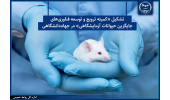 تشکیل «کمیته ترویج و توسعه فناوریهای جایگزین حیوانات آزمایشگاهی» در جهاددانشگاهی
