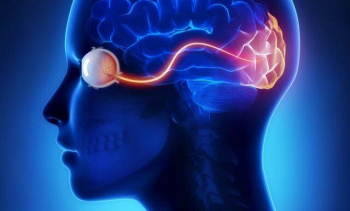 سلولهای بنیادی و امید به بازیابی بینایی/پژوهشگاه رویان اصفهان جهاددانشگاهی از پیشروترین مراکز تحقیقاتی این حوزه