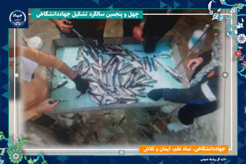 دستیابی به دانش فنی تولید «بچه ماهی مقاوم» با واکسیناسیون و کاهش مصرف آنتیبیوتیک دستاورد محققان جهاددانشگاهی تهران