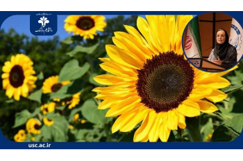 درخشش پژوهش ایرانی در عرصه هنر و فرهنگ: راز بومی‌شدن گل آفتابگردان در هنر باتیک مالایی