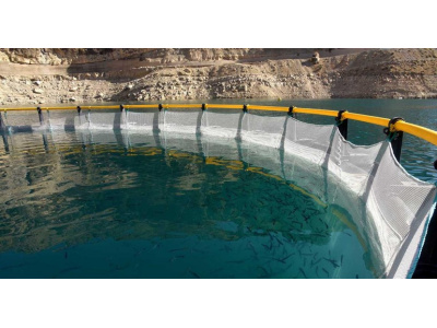 تولید تور و پرورش ماهی در قفس