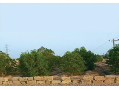 پکیج پرتابل بازیافت و زیستپالایی پسماندهای نفتی