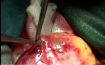 دستيابي به دانش فني سلول درمانی