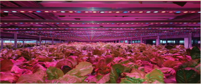 کشاورزی دقیق