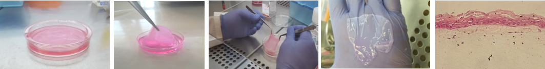 تولیدصنعتی محصول پوست دولایه