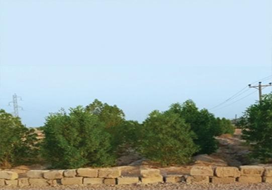 پکیج پرتابل بازیافت و زیستپالایی پسماندهای نفتی